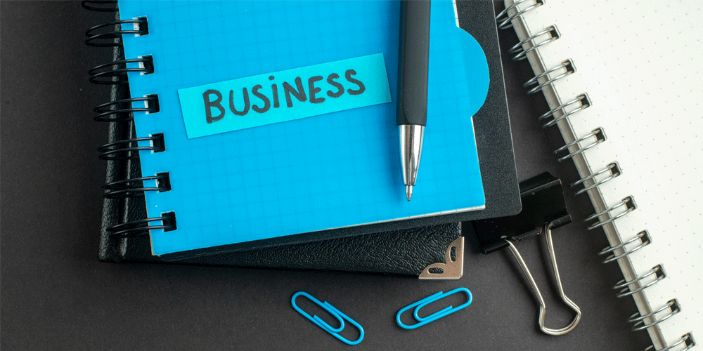 Blue notebook that says "Business." There are pens and paperclips nearby.